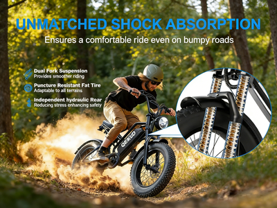 QEKUD75 Electric Motorbike